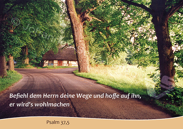 Postkarte Psalm 37,5